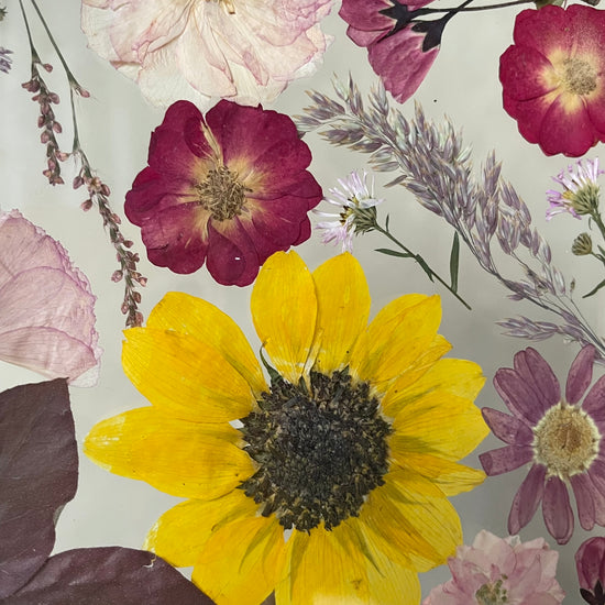 Posvítí ti na cestu