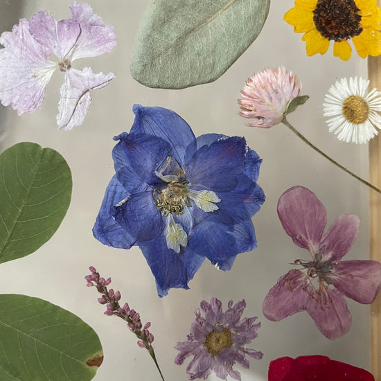 Sbírka barevných drahokamů