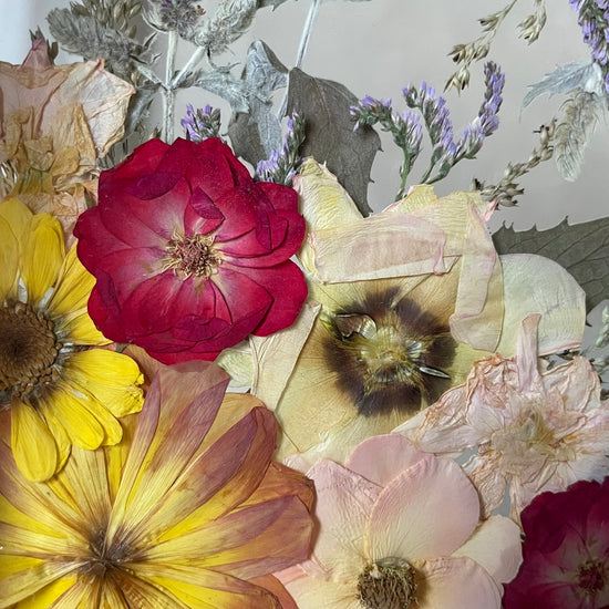 Pozorovat západ slunce