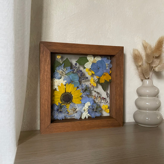 Čemeřičí kopeček