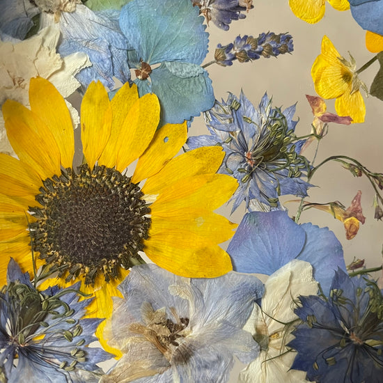 Čemeřičí kopeček