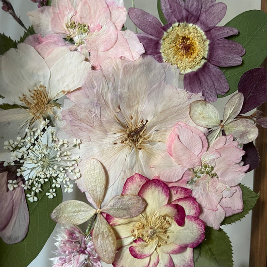 Růžový závojíček