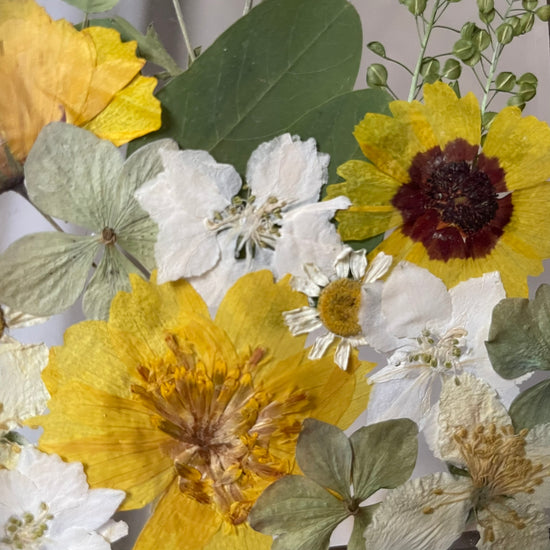 Sluníčkový pohled