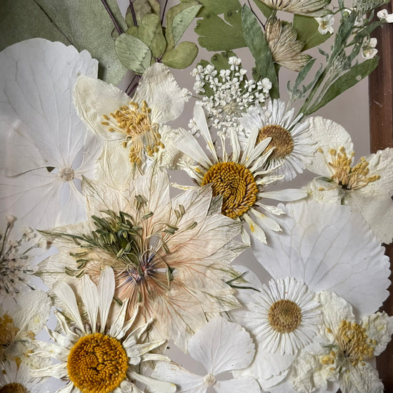 Pod přikrývkou z prachového peří