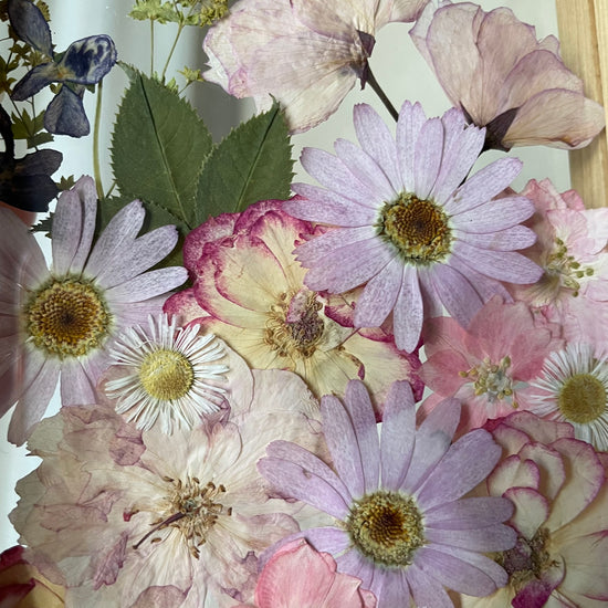 Třešňové kvítky pro radost