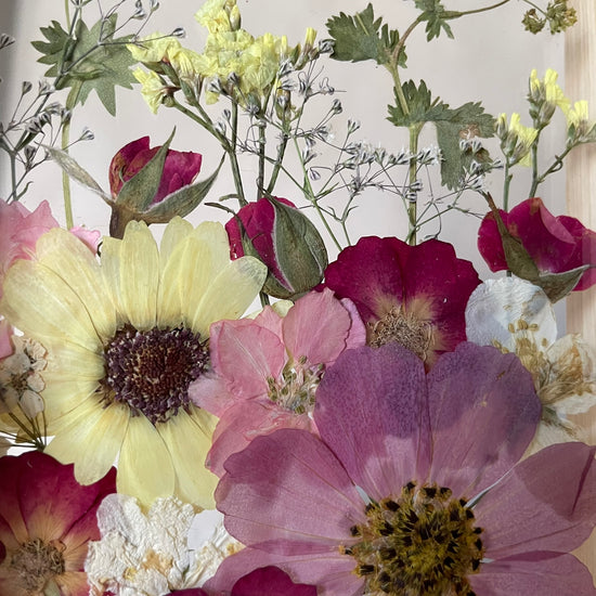 Nad naší zahrádkou