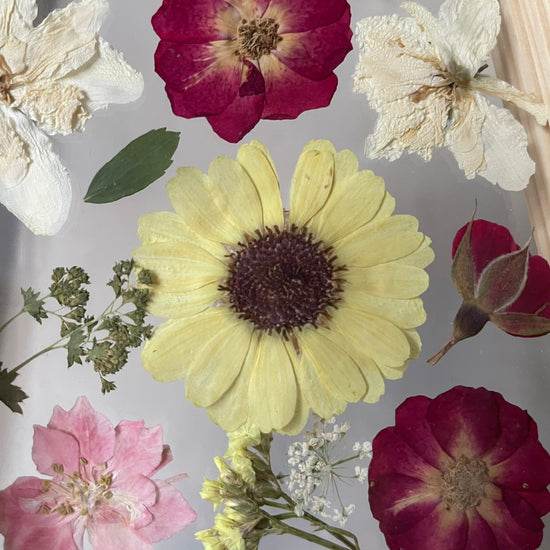 Ve víru hřejivých barev