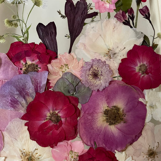 Nejvěrnější přítel