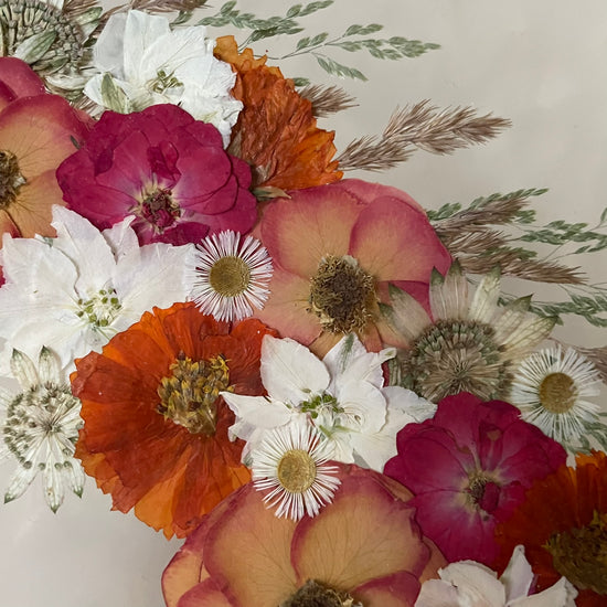 S hřívou plnou léta