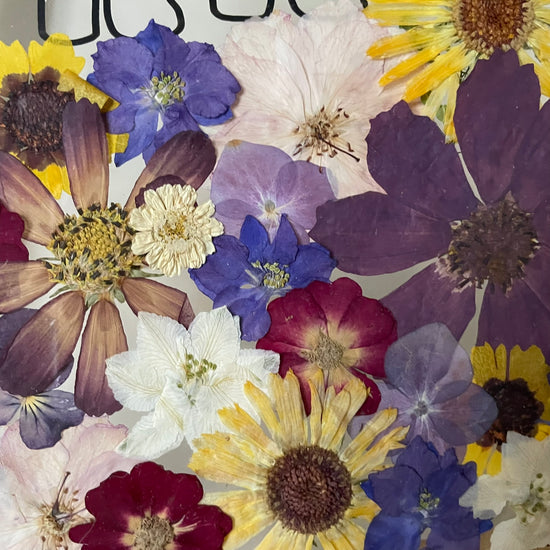 Květosaurus barevný