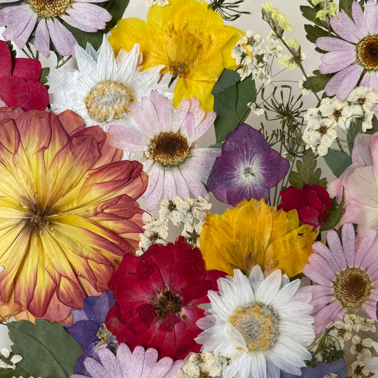 Cukrářská bossanova