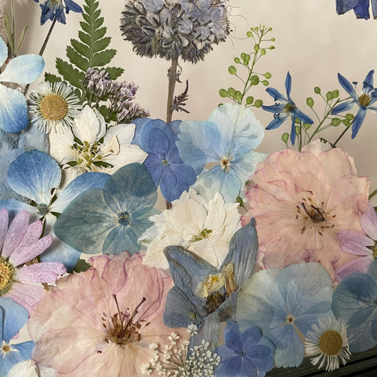 Pod nebeským baldachýnem