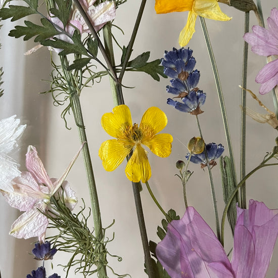 Ve vánku levandulí provoněném