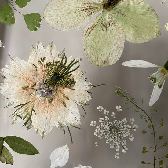 Perličky zakutálené v trávě