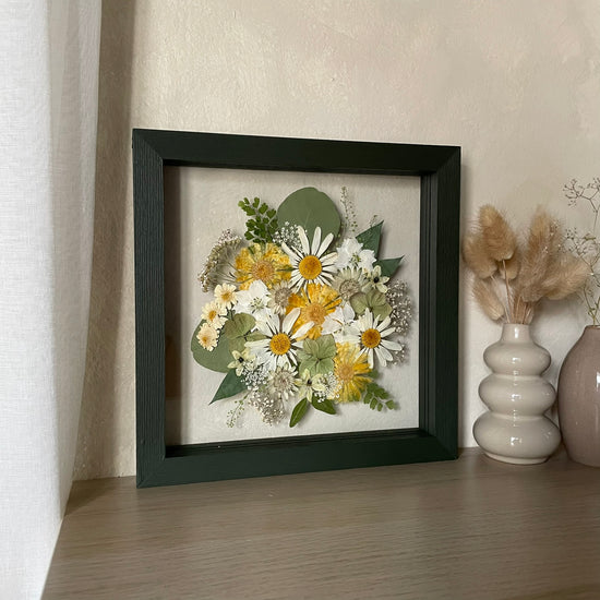 Kopretinky sluncem zalité