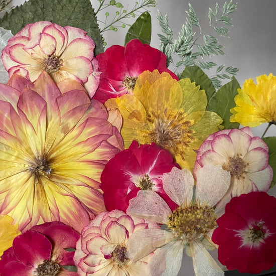 Letní večery u táboráku