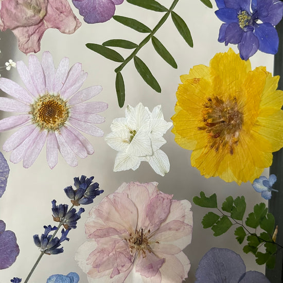 Do nebíčka za sluníčkem