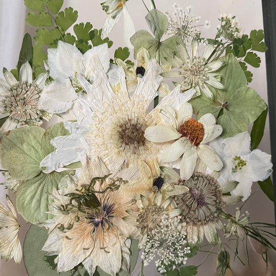 Jako sněhová vločka pod lupou