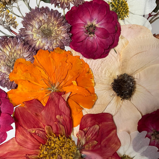 Zahřeje tě u srdce