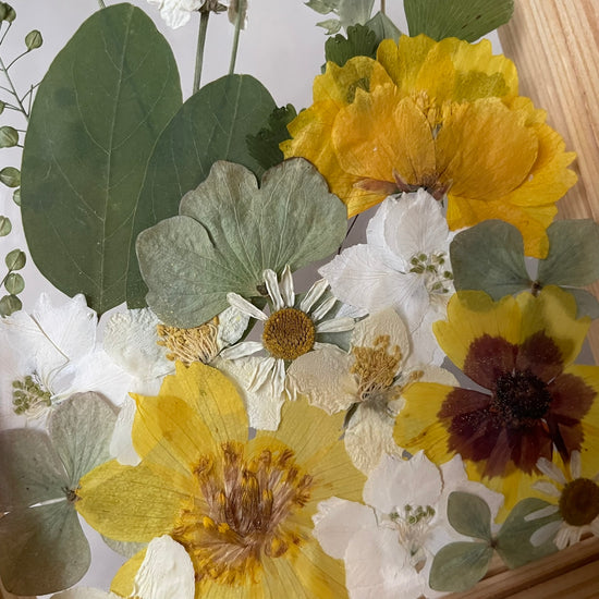 Pozdní východ slunce