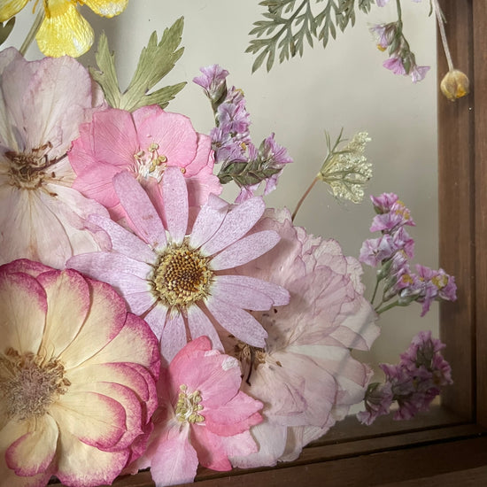 Přátelství pryskyřníčků