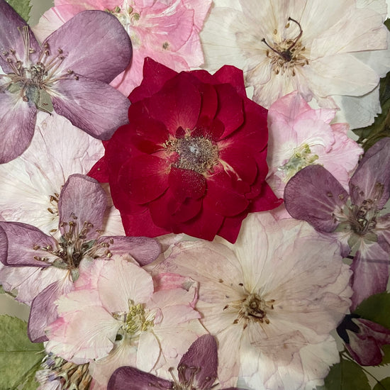 Něžný tanec se zázraky