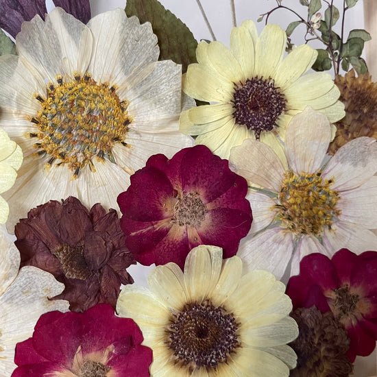 V barvách spadaného listí