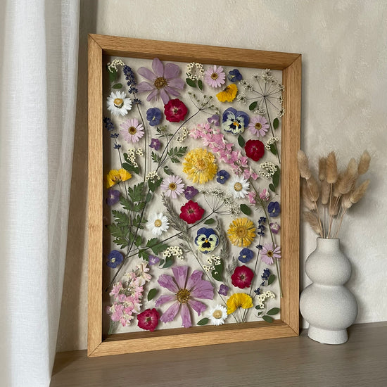 Rozletí se do světa