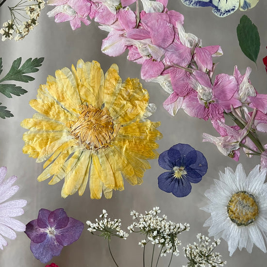 Rozletí se do světa