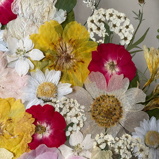 Všechno kvete a voní