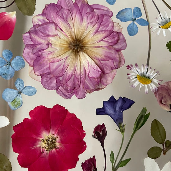 Jako porcelán malovaný