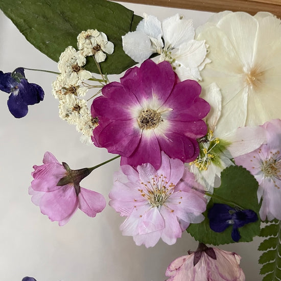 Projdi do lesní říše