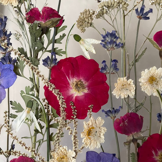 Loučka včelích medvídků