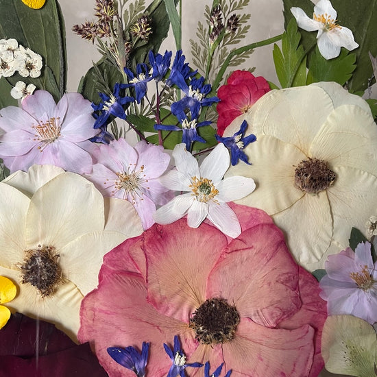 Když kvete duše lesa