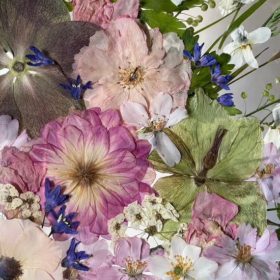 Lesní valčík ladoněk