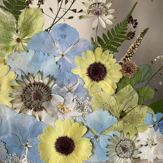 Obloha jasná bez mráčků