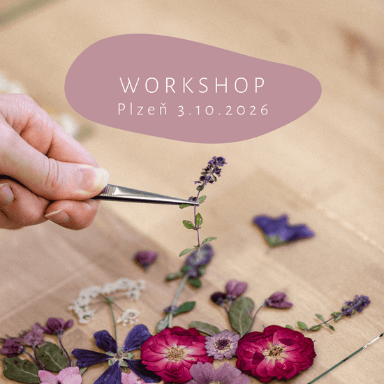 Květinový workshop tvorba obrazu - PLZEŇ 3.10.2026