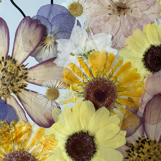 Louka plná dobrodružství