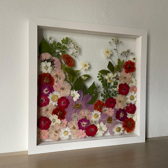 Cestička rozkvetlým údolíčkem